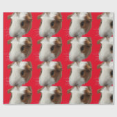 Papier voor de onmiddellijke verpakking van rode c (Vlak)