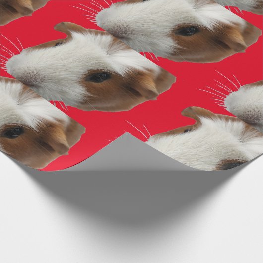 Papier voor de onmiddellijke verpakking van rode c (Hoek)