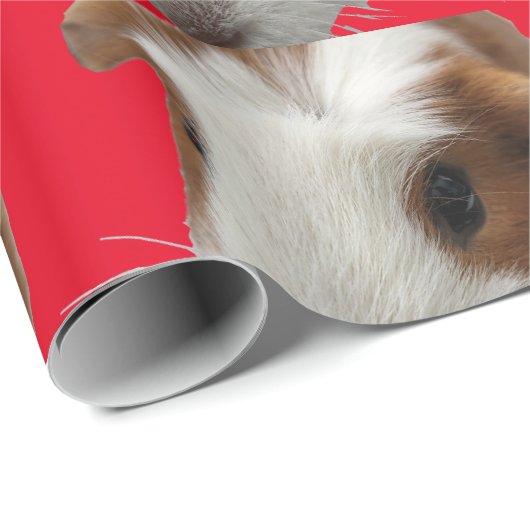 Papier voor de onmiddellijke verpakking van rode c (Rol Hoek)