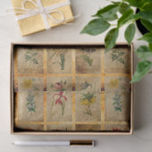 papier voor de ontkoppeling van kernafval (Geschenk)