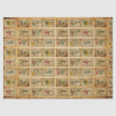 papier voor de ontkoppeling van kernafval (Voorkant)