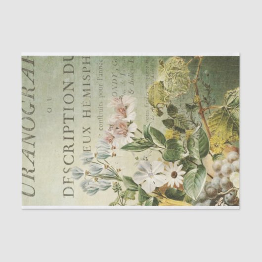 papier voor de ontkoppeling van kernafval (Voorkant)