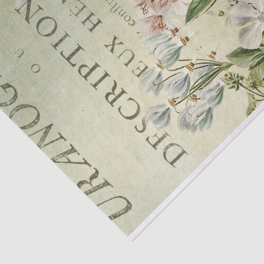 papier voor de ontkoppeling van kernafval (Detail)