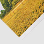 papier voor de ontkoppeling van rode streepjes (Detail)