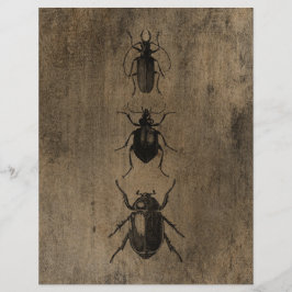  papier voor de scrapbook van Grunge Beetles