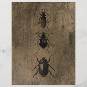 papier voor de scrapbook van Grunge Beetles