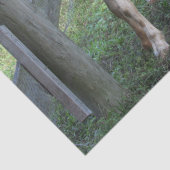 Papier voor echt gekookt of gebakken gehakt (Detail)