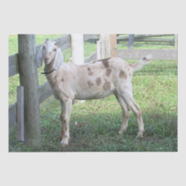 Papier voor echt gekookt of gebakken gehakt