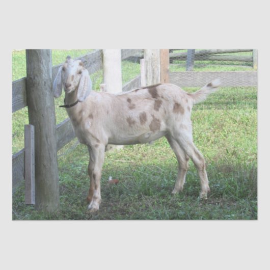 Papier voor echt gekookt of gebakken gehakt (Voorkant)