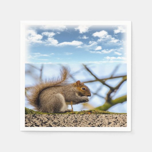 Papier voor eekhoorndozen servet (Voorkant)