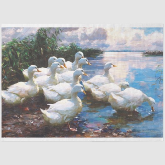  papier voor eenden (Voorkant)