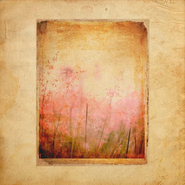  papier voor flessengrond