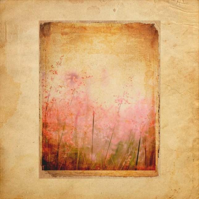  papier voor flessengrond (Creator heeft geüpload)