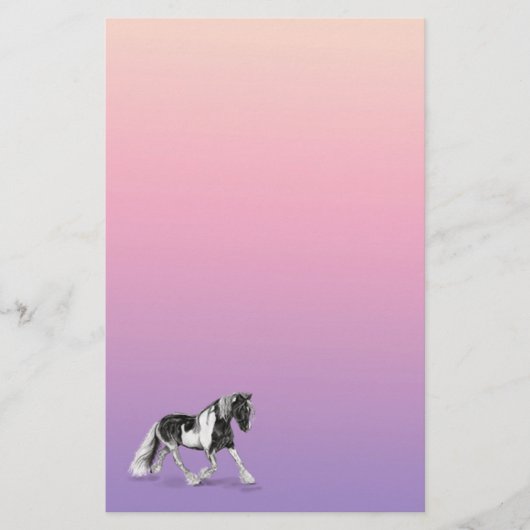 Papier voor gipspatronen, verf voor zigeuners (Voorkant)