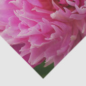 Papier voor het bleekblad van de roze pony (Detail)