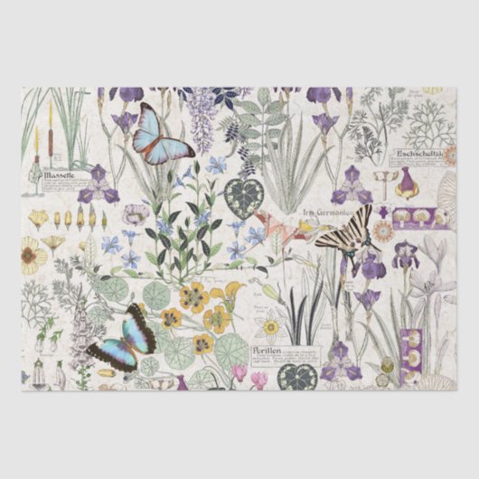 Papier voor het hoofdkwartier van de vlinder (Voorkant)