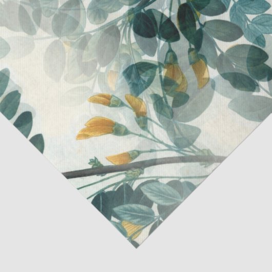 papier voor het loskoppelen van bladstaal (Detail)