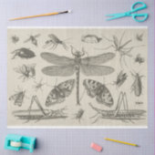  papier voor het ontkoppelen van een dragonvlieg (Craft)