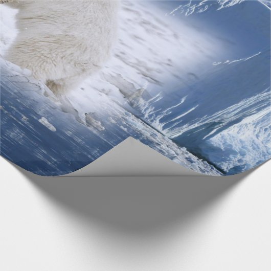 Papier voor het oppakken van Beren (Hoek)