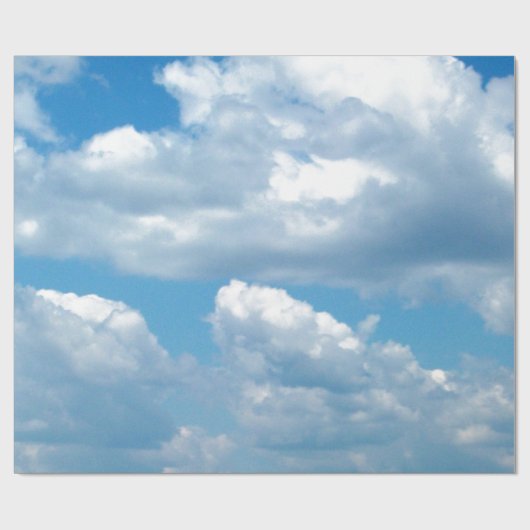 Papier voor het oppakken van blauwe plekken (Vlak)