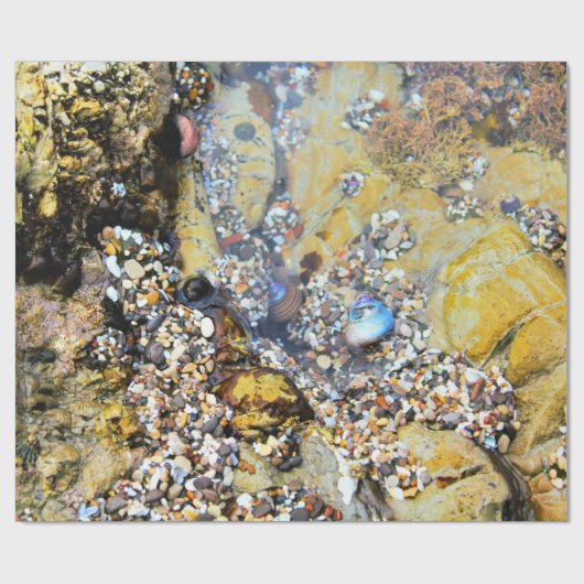 Papier voor het oppakken van breedband (Vlak)