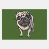 Papier voor het oppakken van tangen inpakpapier vel (Voorkant 2)