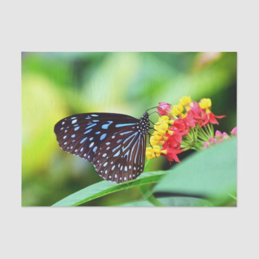 Papier voor het plakken van taafjes en bloemen (Voorkant)