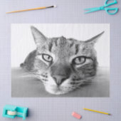 Papier voor het uitkoelen van weefsels (Craft)