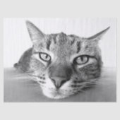 Papier voor het uitkoelen van weefsels (Voorkant)