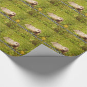 Papier voor het verpakken op de dag van de wasbeur (Hoek)