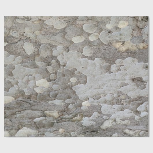 Papier voor het verpakken van bomen (Vlak)