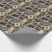 Papier voor het verpakken van mob's, van mos (Hoek)