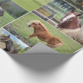 Papier voor het verpakken van paarden (Hoek)