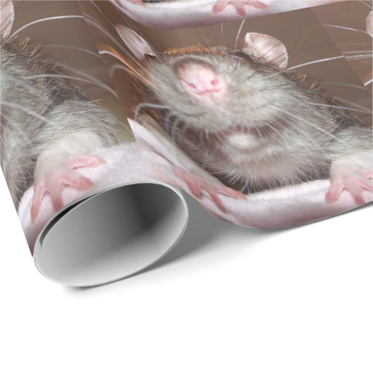 Papier voor het verpakken van ratten (Rol Hoek)