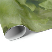Papier voor het verpakken van sla (Rol Hoek)