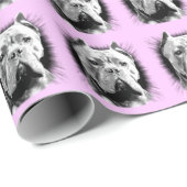 Papier voor het verpakken van suikerriet (Rol Hoek)