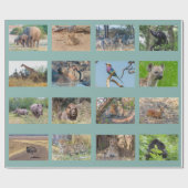 Papier voor het verpakken van wilde dieren in Afri (Vlak)