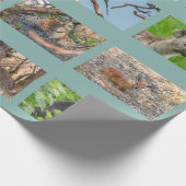 Papier voor het verpakken van wilde dieren in Afri (Hoek)