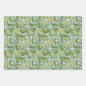 Papier voor het verpakken van zweet limoen inpakpapier vel (Voorkant 3)