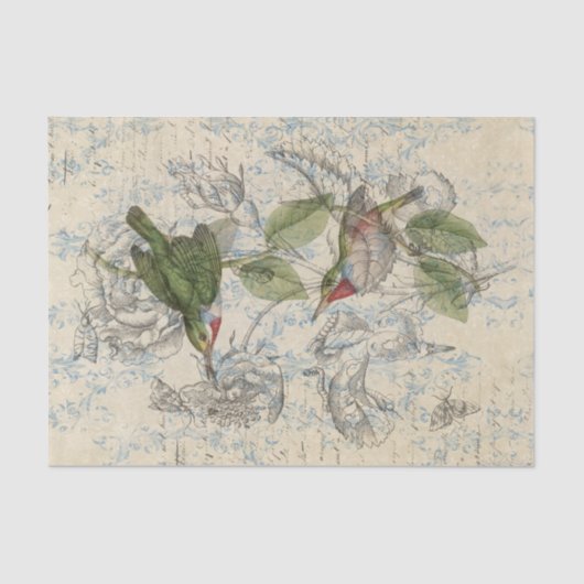  papier voor het verzamelen van vogel (Voorkant)