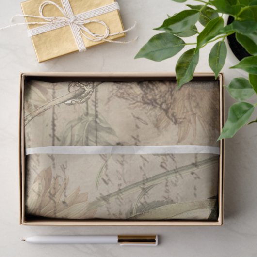  papier voor het verzamelen van vogel (Geschenk)