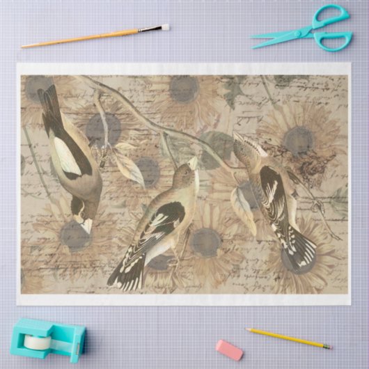  papier voor het verzamelen van vogel (Craft)