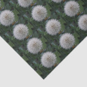 Papier voor het zaaien van deandelion (Detail)