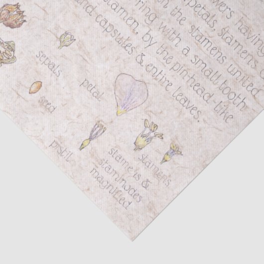  papier voor kunstbloem (Detail)