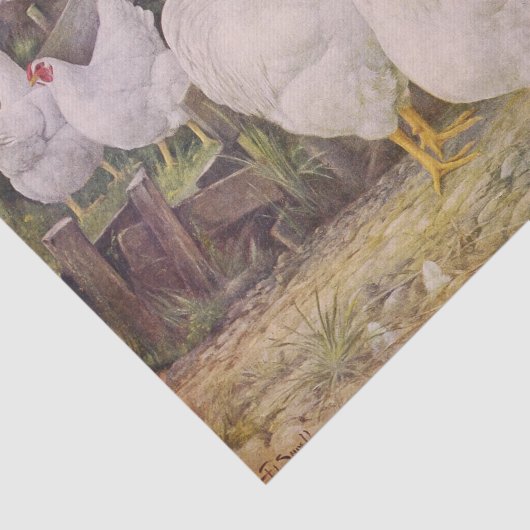  papier voor kunststofkippen (Detail)