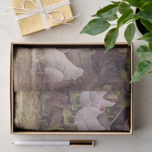  papier voor kunststofkippen (Geschenk)