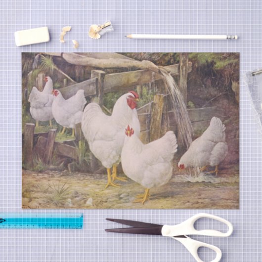  papier voor kunststofkippen (Craft)