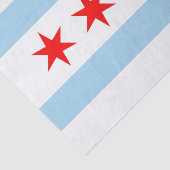 Papier voor kunstweefsel met vlag van Chicago City (Detail)