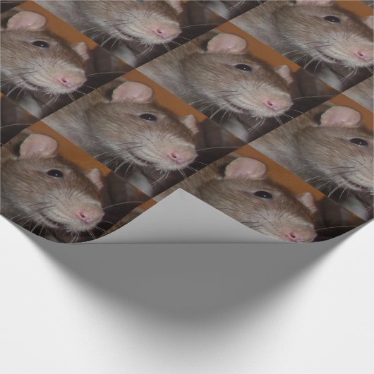 Papier voor lachratten (Hoek)