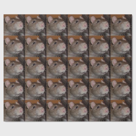 Papier voor lachratten (Vlak)